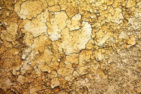 Thirsty ground Stock Photos