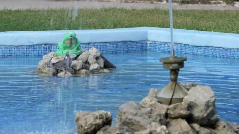 Thirsty pigeons drinking and bathing in city fountain water Stock Footage 340279844