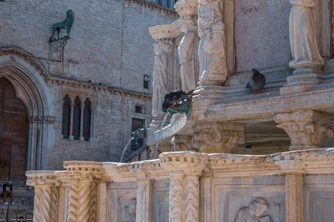 Thirsty pigeons refresh Stock Photos