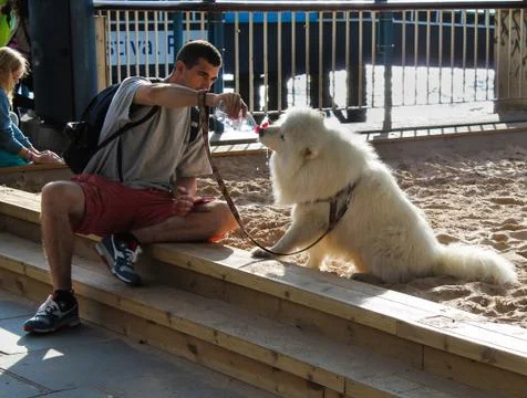 Thirsty Work Stock Photos