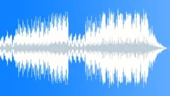 ThirteenStock Music