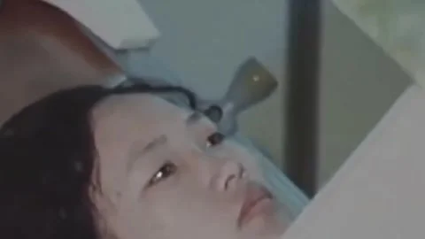 Thirty-eighth parallel. DPRK 1981  (113) Stock Footage 264576688