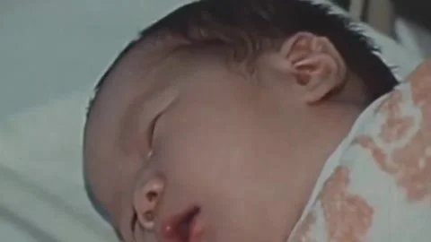 Thirty-eighth parallel. DPRK 1981  (116) 스톡 동영상 264576716