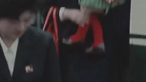 Thirty-eighth parallel. DPRK 1981  (157) Stock Footage 264577079