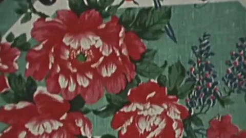 Thirty-eighth parallel. DPRK 1981  (161) Stock Footage 264577097