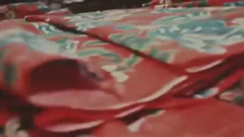 Thirty-eighth parallel. DPRK 1981  (162) Stock-Footage 264577119