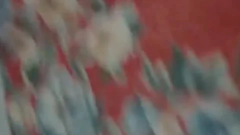 Thirty-eighth parallel. DPRK 1981  (170) Stock-Footage 264577172