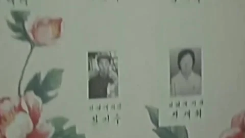 Thirty-eighth parallel. DPRK 1981  (171) Stock-Footage 264577175