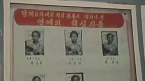 Thirty-eighth parallel. DPRK 1981  (172) 스톡 동영상 264577193