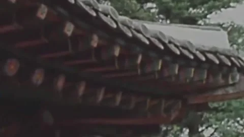 Thirty-eighth parallel. DPRK 1981  (18) Stock-Footage 264577266