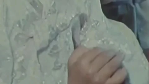 Thirty-eighth parallel. DPRK 1981  (188) Stock Footage 264577368