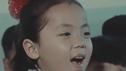 Thirty-eighth parallel. DPRK 1981  (189) Stock Footage 264577370