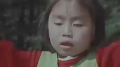 Thirty-eighth parallel. DPRK 1981  (194) Stock-Footage 264577399