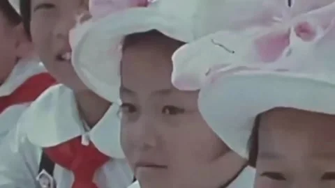 Thirty-eighth parallel. DPRK 1981  (198) Stock-Footage 264577477