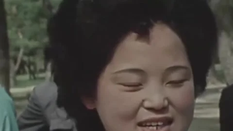 Thirty-eighth parallel. DPRK 1981  (228) Stock-Footage 264577806