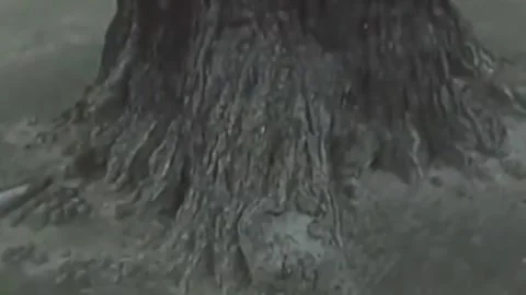 Thirty-eighth parallel. DPRK 1981  (23) Stock Footage 264577824