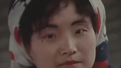 Thirty-eighth parallel. DPRK 1981  (244) Stock-Footage 264578013