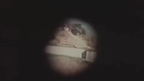 Thirty-eighth parallel. DPRK 1981  (264) Stock-Footage 264578143