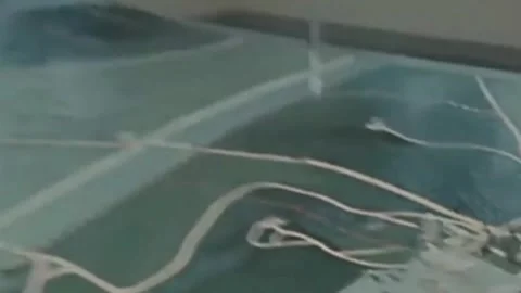 Thirty-eighth parallel. DPRK 1981  (274) Stock Footage 264578197