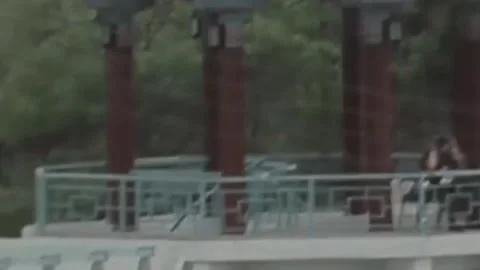 Thirty-eighth parallel. DPRK 1981  (281) Stock-Footage 264578230