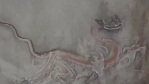 Thirty-eighth parallel. DPRK 1981  (31) Stock-Footage 264578243