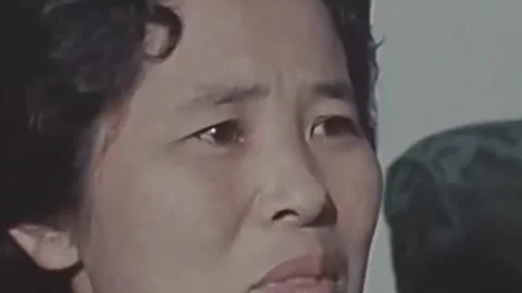 Thirty-eighth parallel. DPRK 1981  (39) Stock Footage 264578270