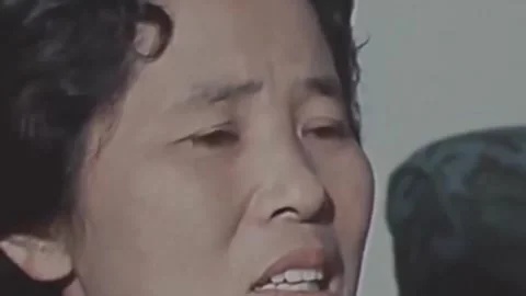 Thirty-eighth parallel. DPRK 1981  (40) Stock-Footage 264578276