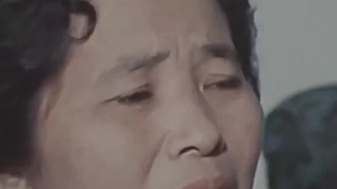 Thirty-eighth parallel. DPRK 1981  (43) Stock Footage 264578290