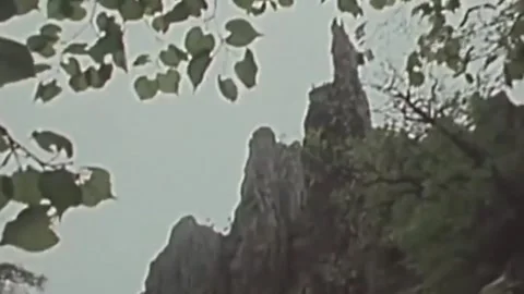 Thirty-eighth parallel. DPRK 1981  (49) Stock-Footage 264578306