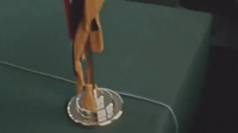 Thirty-eighth parallel. DPRK 1981  (8) Stock-Footage 264578468