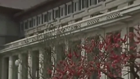 Thirty-eighth parallel. DPRK 1981  (81) Stock Footage 264578475