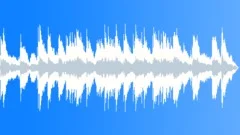 Thirty Years After Unplugged (WP) 08 MT 60 ( Celtic, reflective, dramatic ) Stock Music