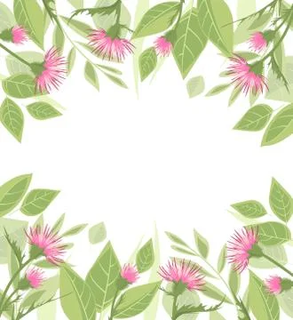 Thistle with green leaves Stock Illustration