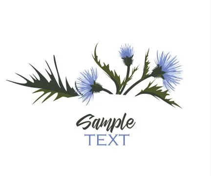 Thistle with leaves Stock Illustration