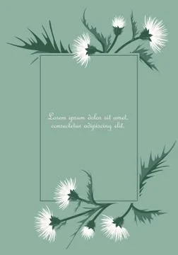 Thistle with leaves Stock Illustration