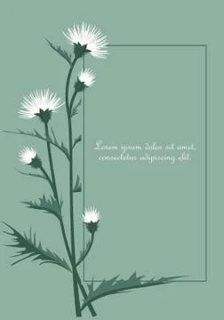Thistle with leaves Stock Illustration