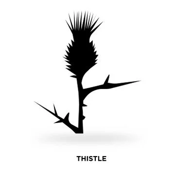 Thistle silhouette Stock Illustration