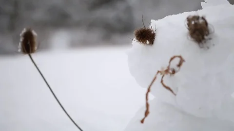 A Thistle Snowman in Winter Stock Footage 129714345