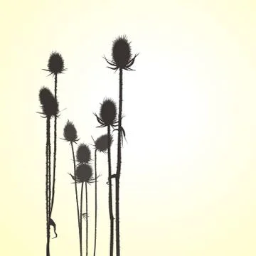 Thistle, vector objects Stock Illustration
