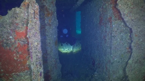 Thistlegorm Divers Inside Ship Wreck Underwater Red Sea Egypt Stock Footage 102891200