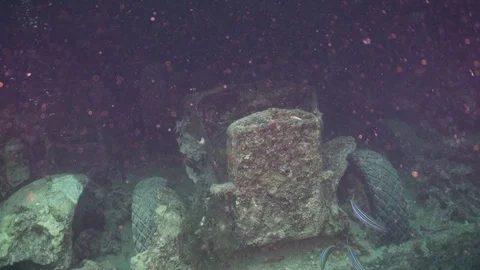 Thistlegorm Trucks Inside Ship Wreck Underwater Close Up Red Sea Egypt Stock Footage 102890885