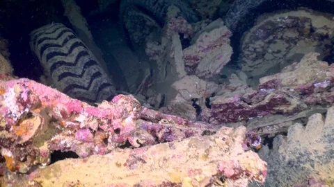 Thistlegorm Trucks Inside Ship Wreck Underwater Red Sea Egypt Stock Footage 102891617