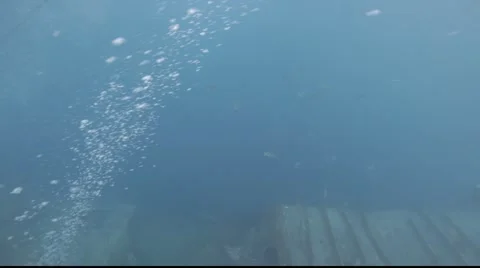 Thistlegorm wreck. Stock Footage 931011