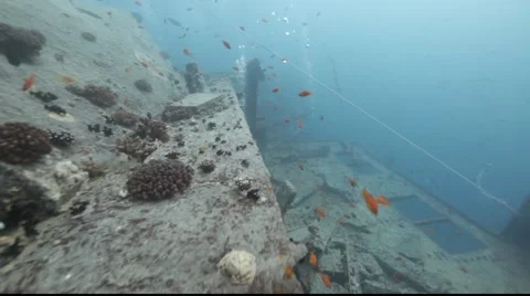Thistlegorm wreck. Stock Footage 931044
