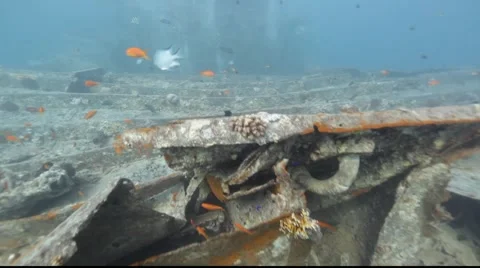 Thistlegorm wreck. Stock Footage 931089