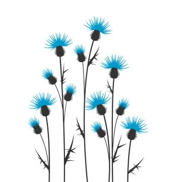 Thistles Illustrazione stock