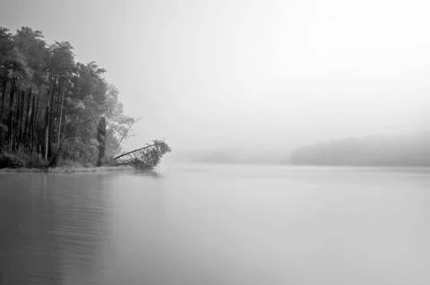 Thom-a-lex2 Stock Photos