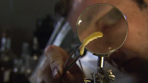 Thomas Edison examining filaments, 1879 - Reenactment Stock Footage 202899427