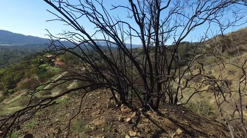 The Thomas Fire Aftermath above the city of Ojai Stock Footage 86025798