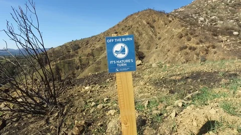 The Thomas Fire Aftermath Stock Footage 86025986